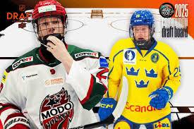 Image result for New Milton Hockey Club