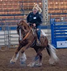 Image result for chestnut friesian