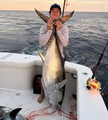 Image result for Thunnus obesus