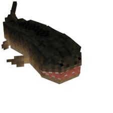 Attēlu rezultāti vaicājumam “Laccognathus panderi”