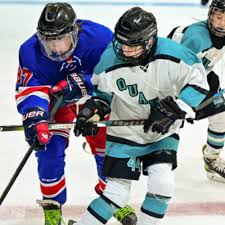 Image result for Cwmbran Hockey Club