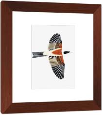 Attēlu rezultāti vaicājumam “Remiz pendulinus adult”