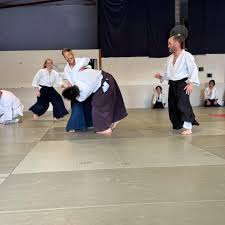 Image result for Newcastle Aikido Club