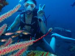 Image result for Scuba Skooling
