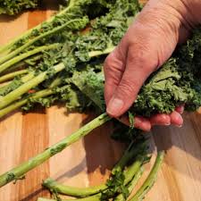 Image result for Grünkohl