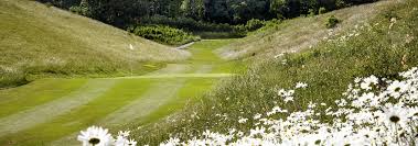 Image result for Royston Golf Club Ltd