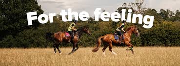 Image result for British Horse Society