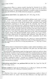 Attēlu rezultāti vaicājumam “Lamproderma pulchellum spores”