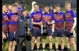 Image result for University Of Limerick Gaa Hurling Club