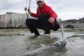 Image result for Bargoed Sea Anglers