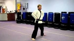 Image result for Jin Sei Kai Shotokan Karate