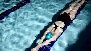 Image result for Fleetwood and District Swimming Club