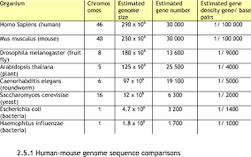 Image result for genome sizes