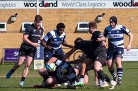 Image result for Rochford Hundred Rugby Club