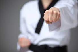 Image result for COURT FIELDS karate Academy