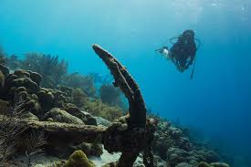 Image result for Richmond Sub-Aqua Club