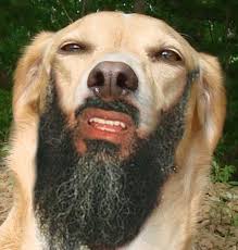 images?q=tbn:ANd9GcTyftwiPL0wsq2blQ9bwmrrnX2rNFaWBgEDYBq50NodxOCQxt9whg