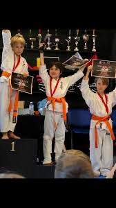 Image result for Newport Kyokushin Karate Club