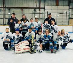 Image result for Streatham Night Wolves Ice Hockey Team