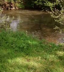 Image result for Leatherhead & District Angling Society