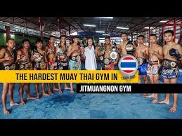 Image result for Muay Thai Clubs