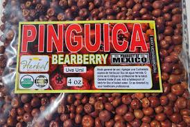 Attēlu rezultāti vaicājumam “Arctostaphylos uva-ursi fruit”