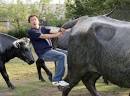 BULLS Party, from Victor Niederhoffer : Daily Speculations