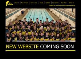 Image result for Swindon Dolphins