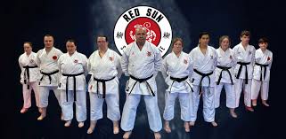 Image result for Redhill Karate Association