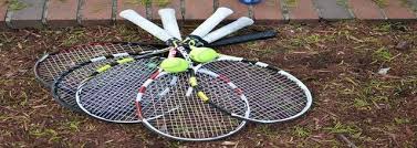 Image result for Fallowfield Bowling & Lawn Tennis Club