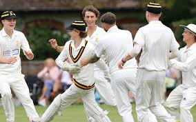 Image result for Dumbleton Cc