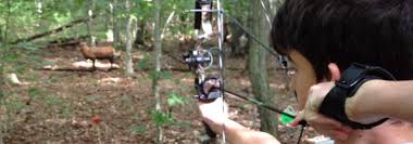 Image result for Guildford Archery Club