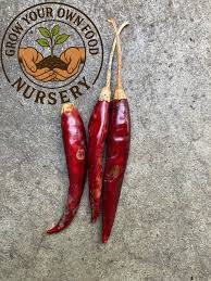 Afbeeldingsresultaat voor chile de arbol hot pepper