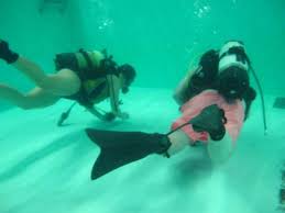 Image result for Hartlepool Divers Bsac Branch 0985