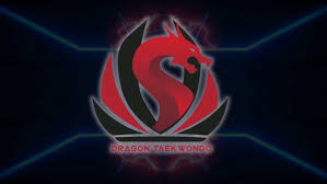 Image result for Red Dragon Taekwondo club