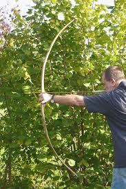 Image result for Green Hollow Bowmen