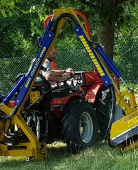 Image result for marolin tehron