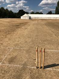 Image result for Pyrford Cricket Club