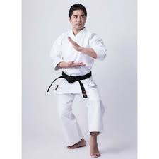 Image result for Karate Wado Kai