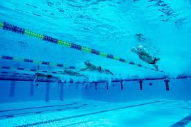 Image result for Huntingdon Piranhas Swimming Club