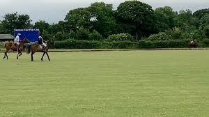 Image result for Taunton Vale Polo Club