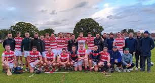 Image result for Sean Treacy`s Hurling Club