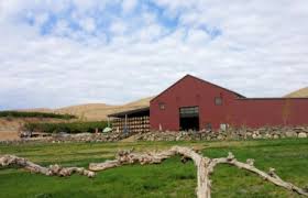 Image result for Owen Roe G A C Coleraine