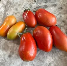 Afbeeldingsresultaat voor blushing yellow tomato