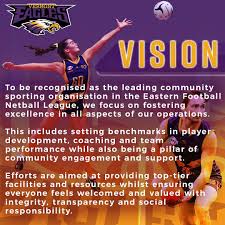 Image result for Mission Impossible Netball Club