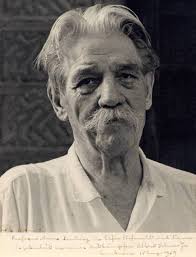 Image result for albert schweitzer