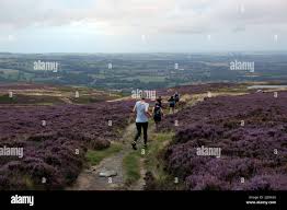 Image result for North Leeds Fell Runners