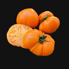 Afbeeldingsresultaat voor amana orange beefsteak tomato