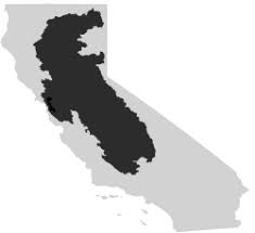 Image result for Mylopharodon conocephalus