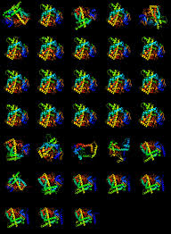 Attēlu rezultāti vaicājumam “Craterium aureonucleatum spores”